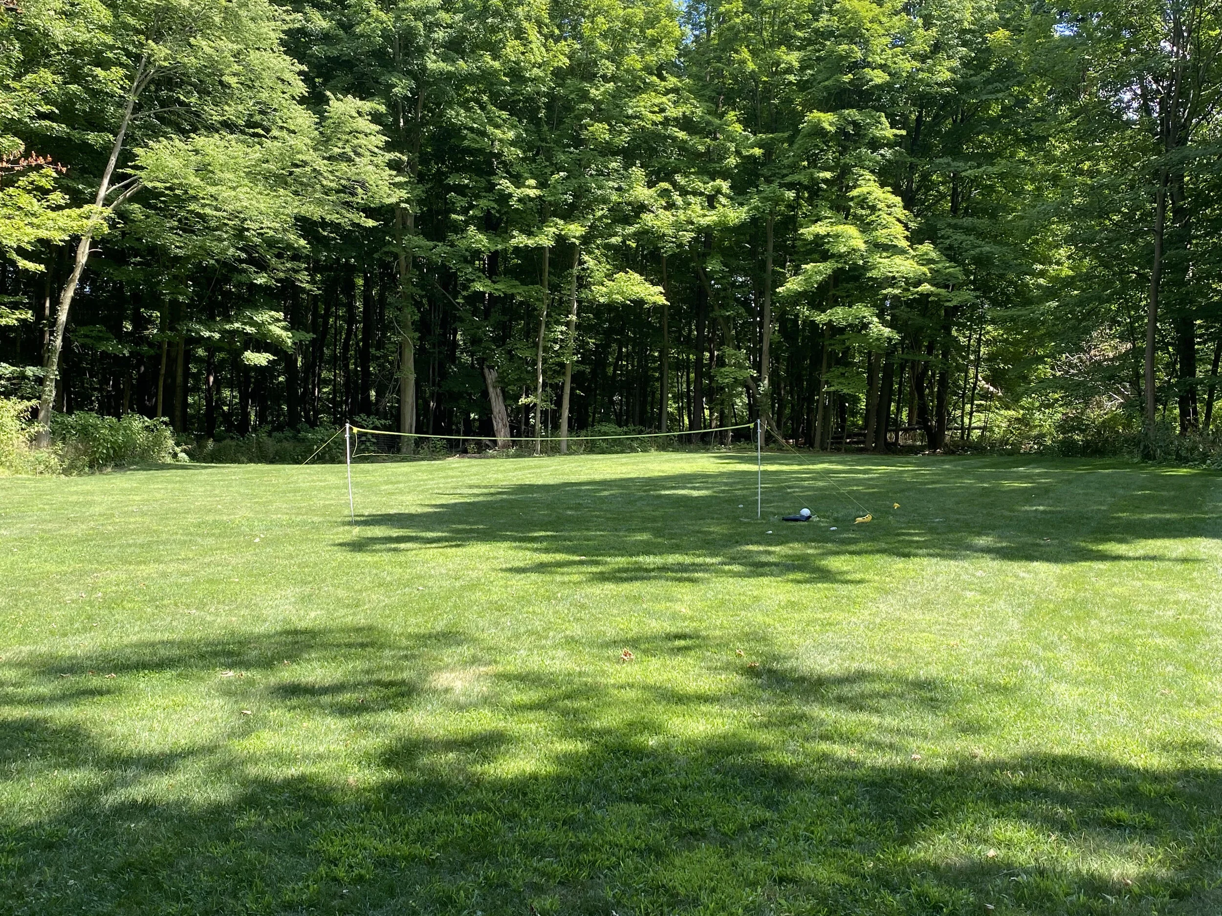 A clever group of Guests brought a net to play volleyball at the Woodland Lodge’s 8000ft² Play Field. Great for outdoor fun!