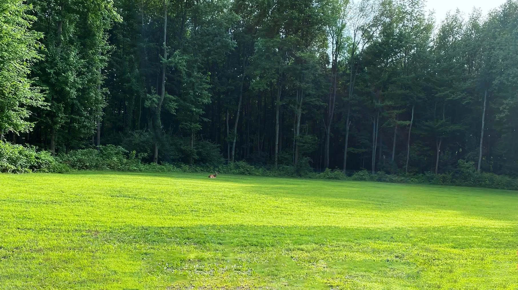 Guests of our 4 homes on Stone Lake share our 2 private playfields, 8000ft² each