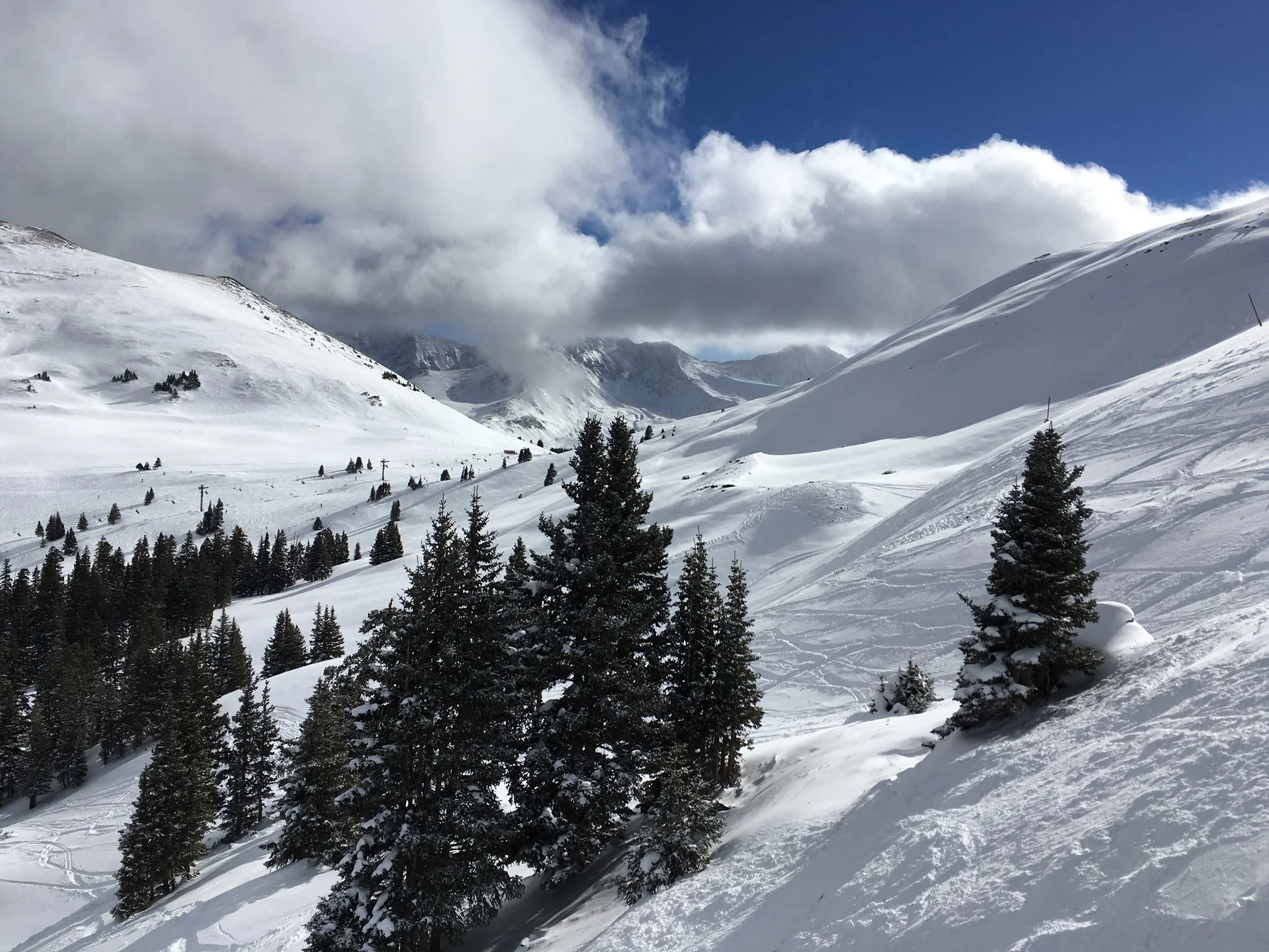Snow.jpg