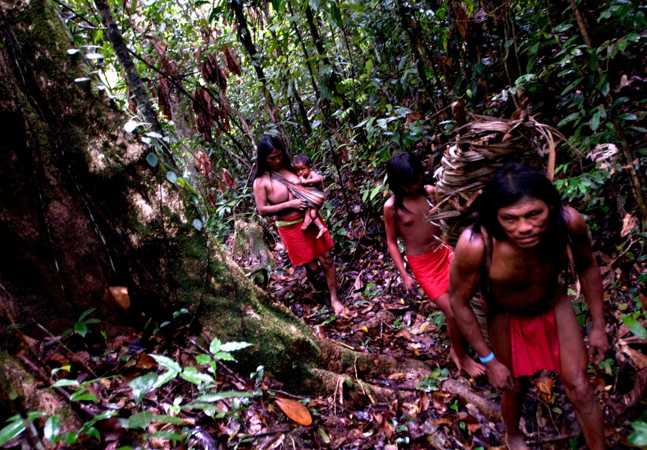 Wajãpi indigenous people in their land in the Amazon. Photo: Mário Vilela/Funai