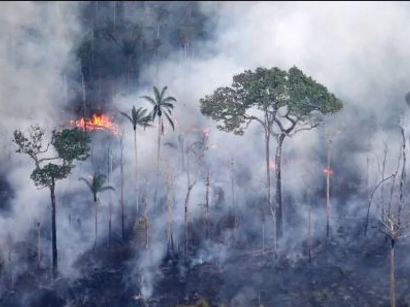 ONU CONVOCADA PELA SOCIEDADE A AGIR PELA AMAZÔNIA