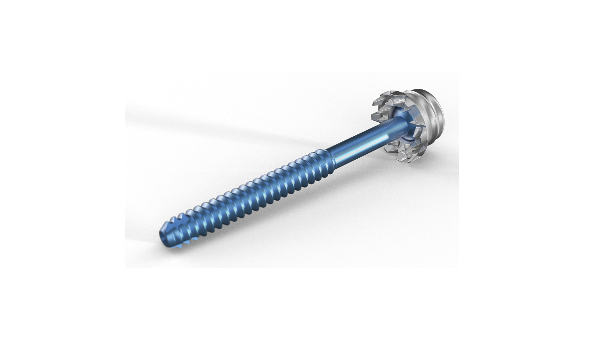 FacetFuse Trans-Facet Screw System