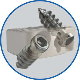 SF_Website_Squarespace_Assets_Features_A-CIFT_DualScrew.png