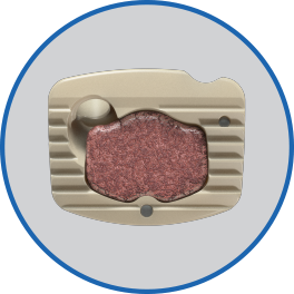 SF_Website_Squarespace_Assets_Features_A-CIFT_GraftWindow.png