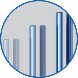 Variety of Tulip Lengths.png