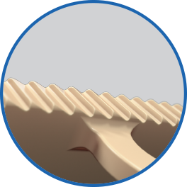 03- Aggressive Teeth.png