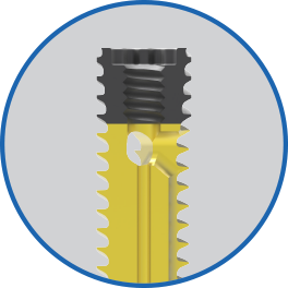 12mm+section+view+01.jpg