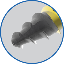 12mm+screw+ortho+01.22.jpg