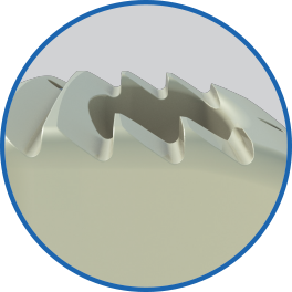 Teeth01_Final+Color+Output0260.jpg