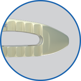 SF_Website_Squarespace_Assets_Features_LES P-LIFT_Nose.png