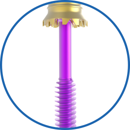 12mm+screw+ortho+01.22.jpg