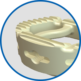SF_Website_Squarespace_Assets_Features_Arena-L_Teeth.png