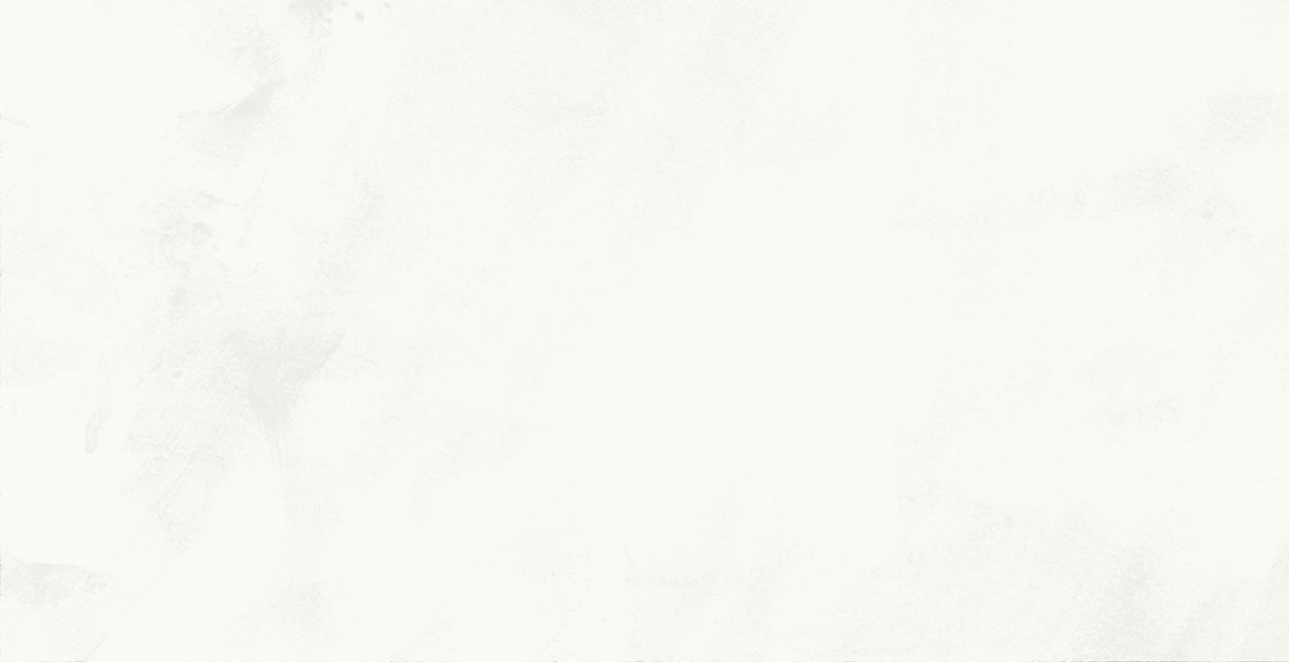 White-Background-Header.jpg