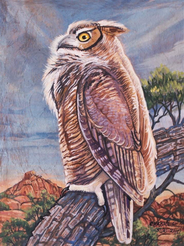 Great Horned Owl by Annie.jpg