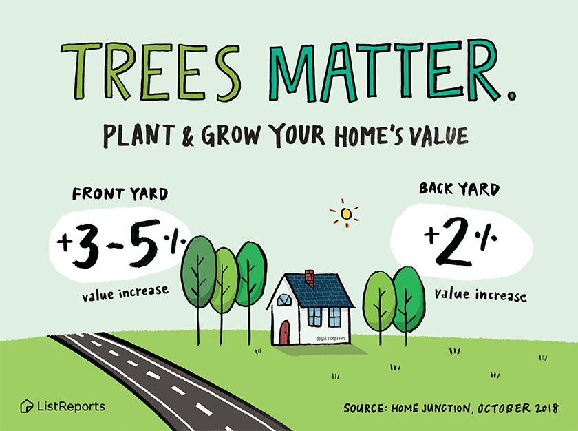 trees-matter.png