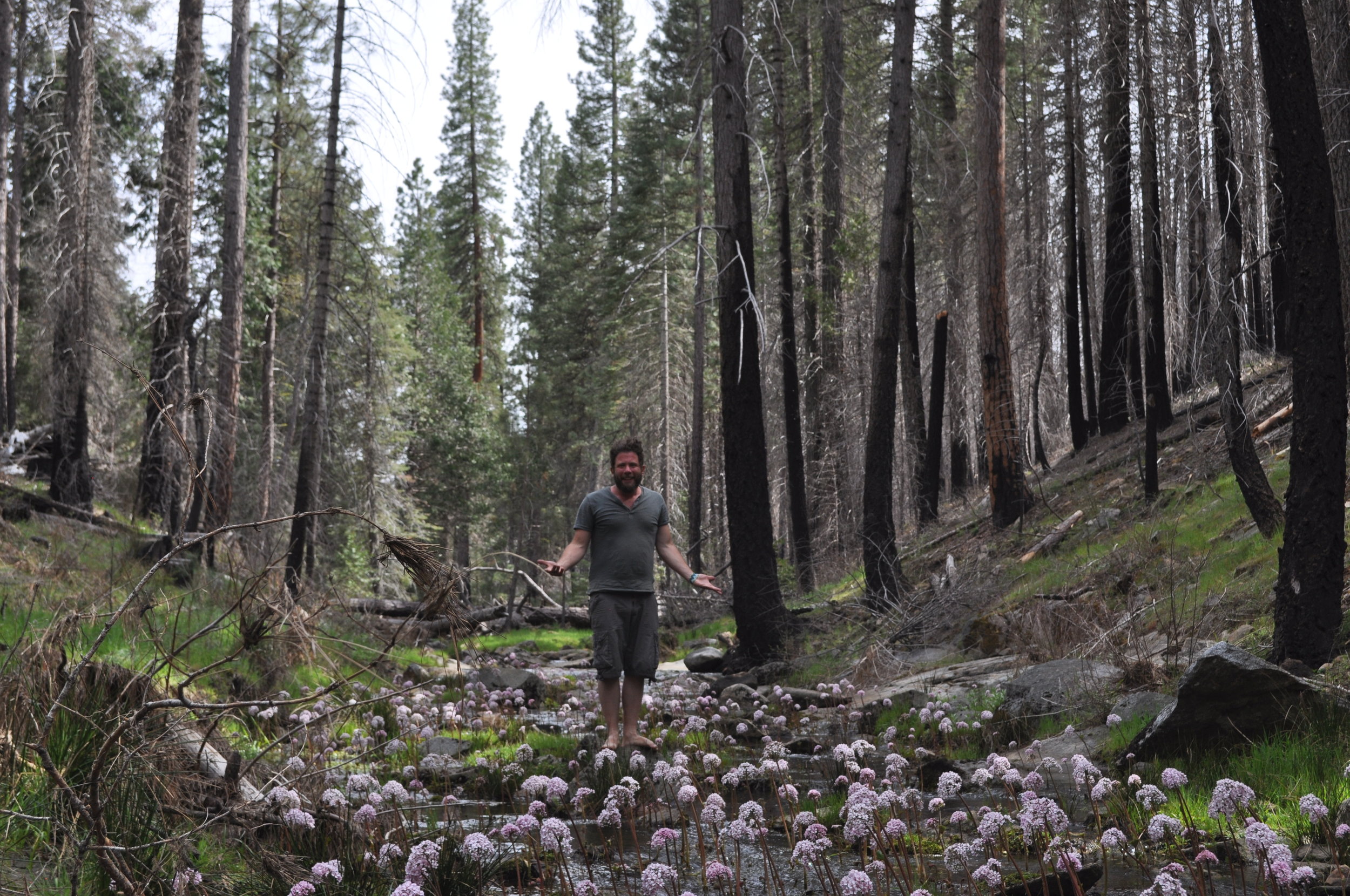 Tuolumne Tributary