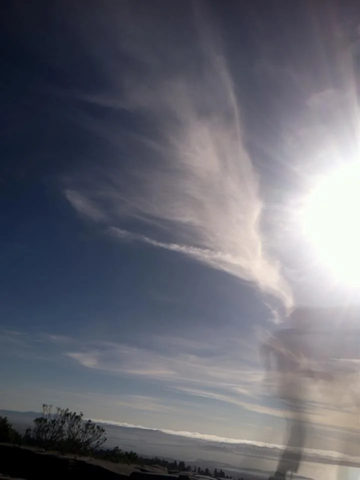 481268_10101774466821069_1839825723_n.jpg