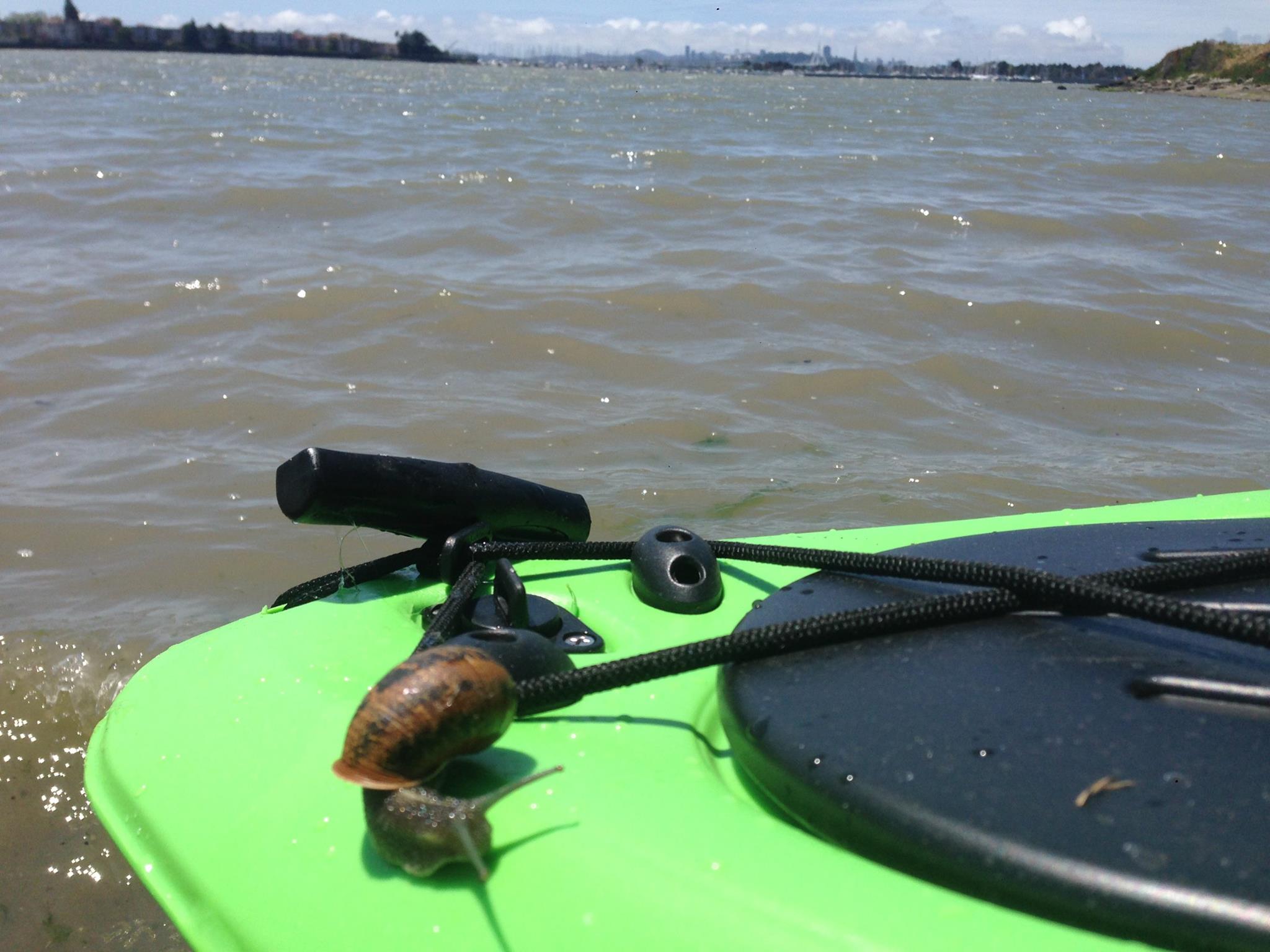 Slug Kayak