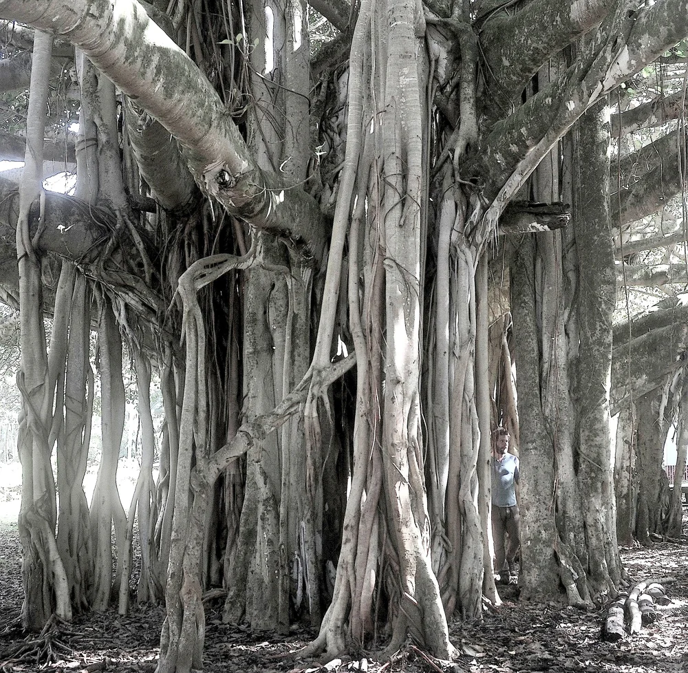 Testimonials Watershed Witness Tours