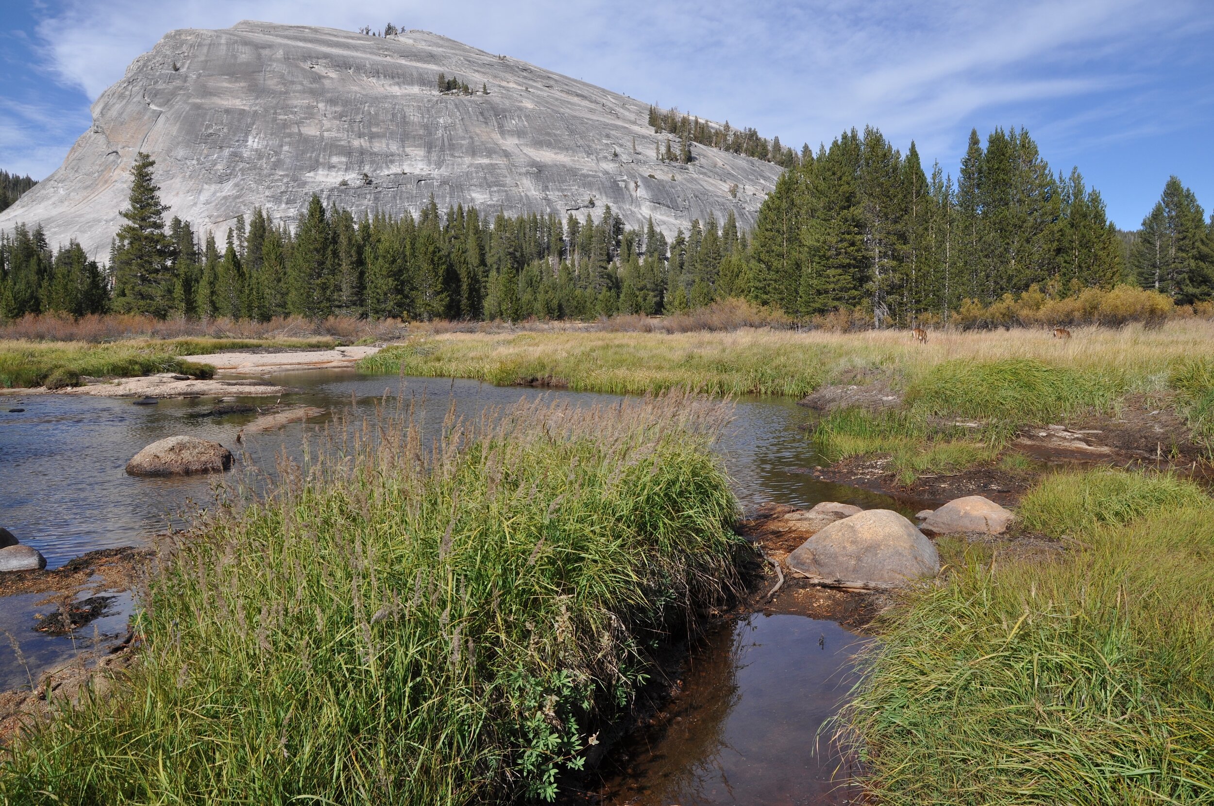  Tuolumne Meadows where the Dana Fork and the Lyell Fork combine to form the Tuolumne River 