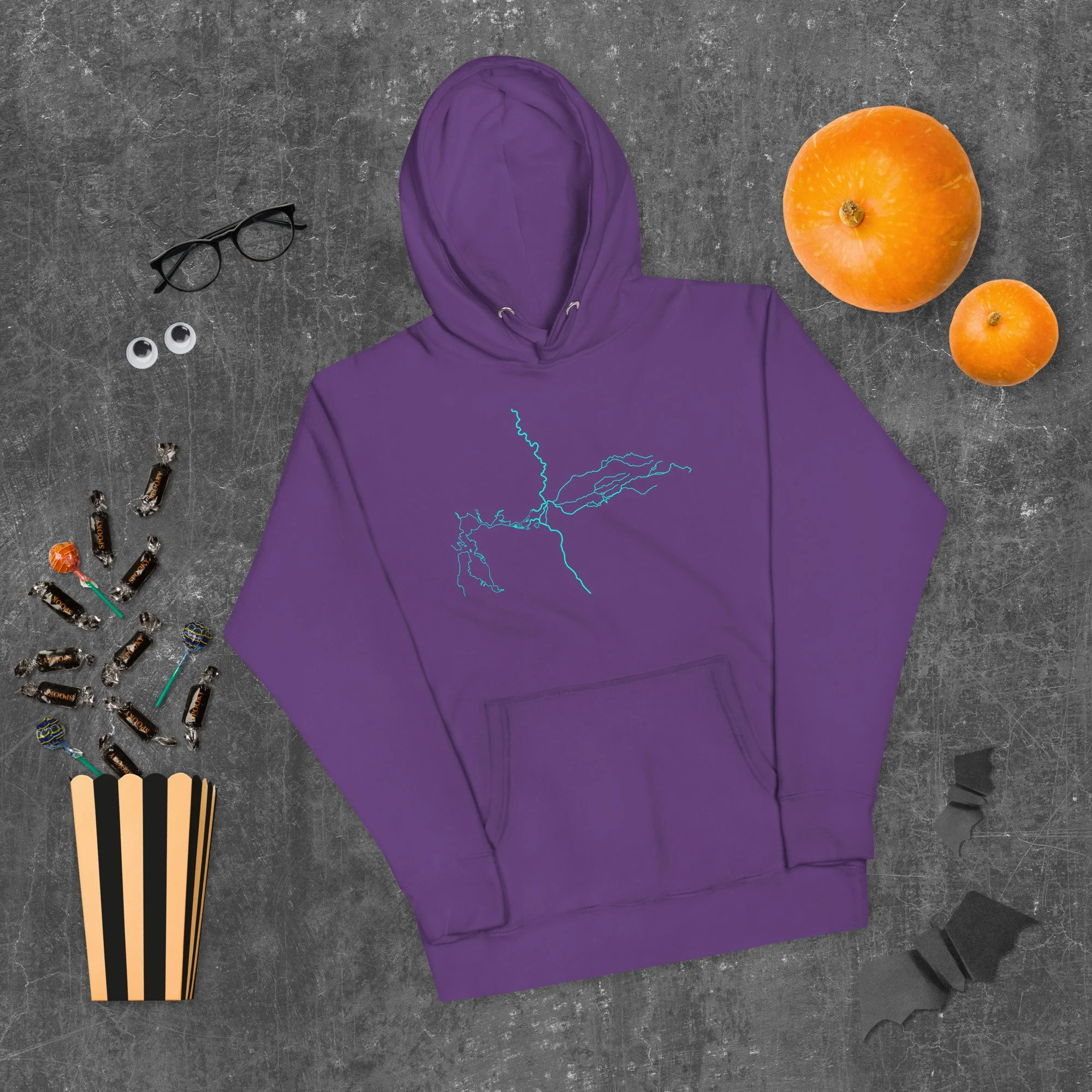 unisex-premium-hoodie-purple-front-68478ff7403cd.jpg