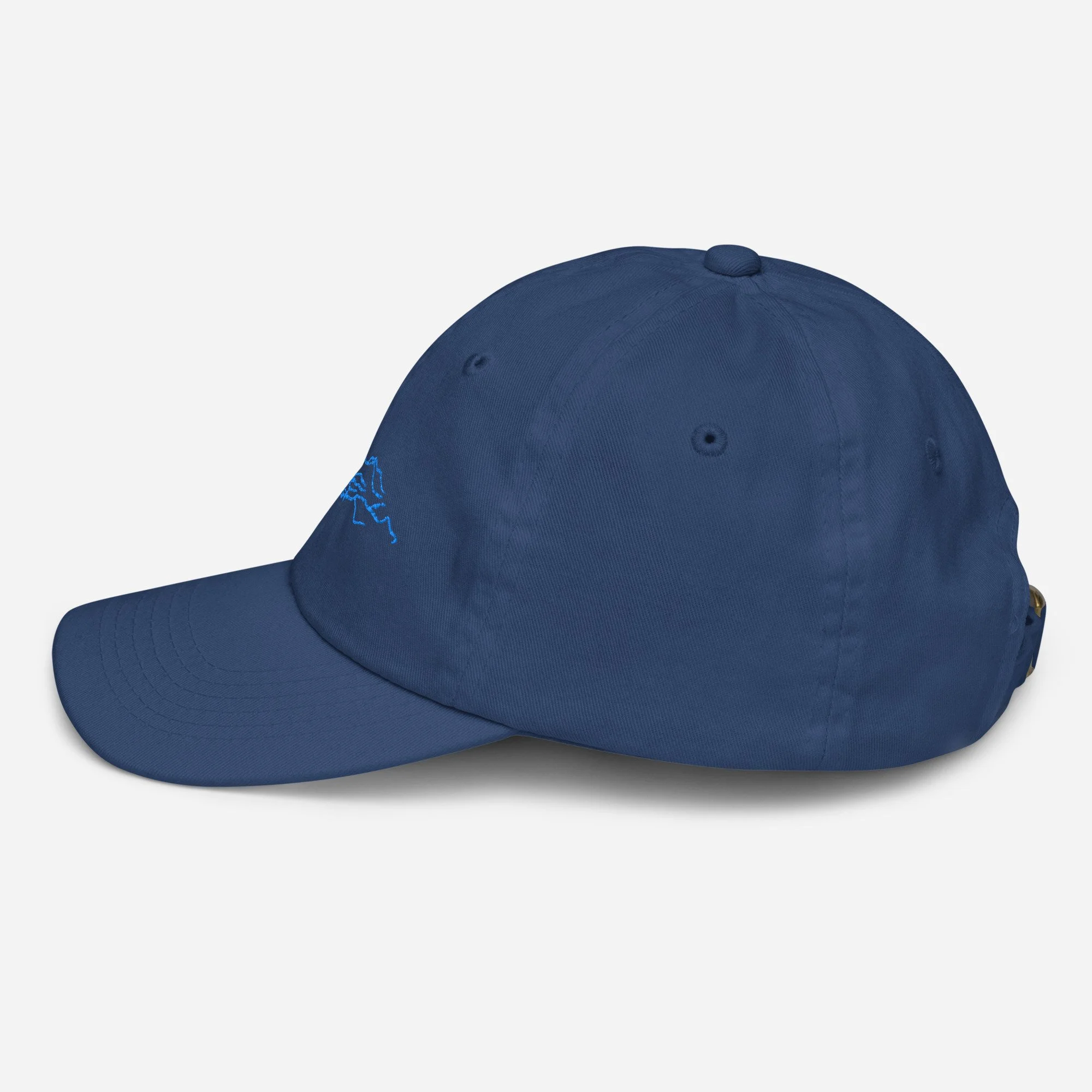 youth-baseball-cap-royal-left-side-685b66e03649c.jpg
