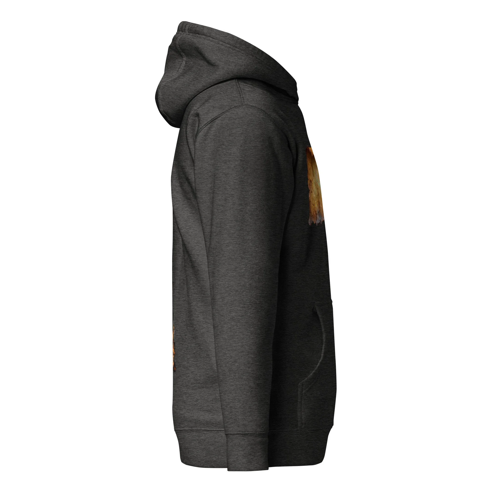 unisex-premium-pullover-hoodie-charcoal-heather-right-69e8424b13817.jpg
