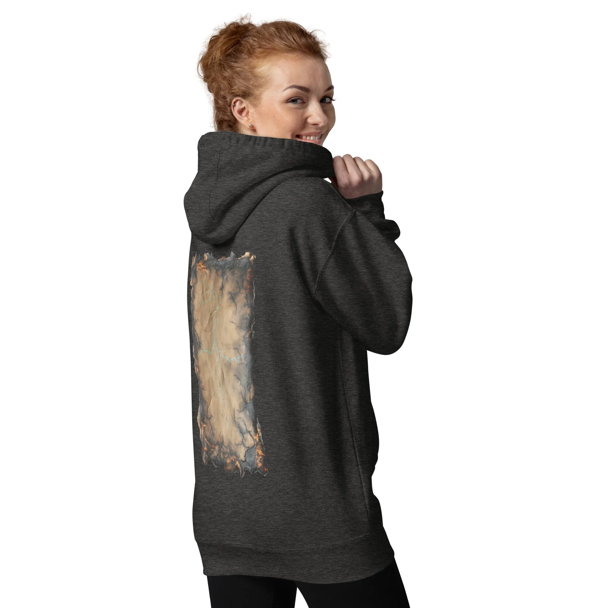 unisex-premium-pullover-hoodie-charcoal-heather-back-6a0e80fece173.jpg