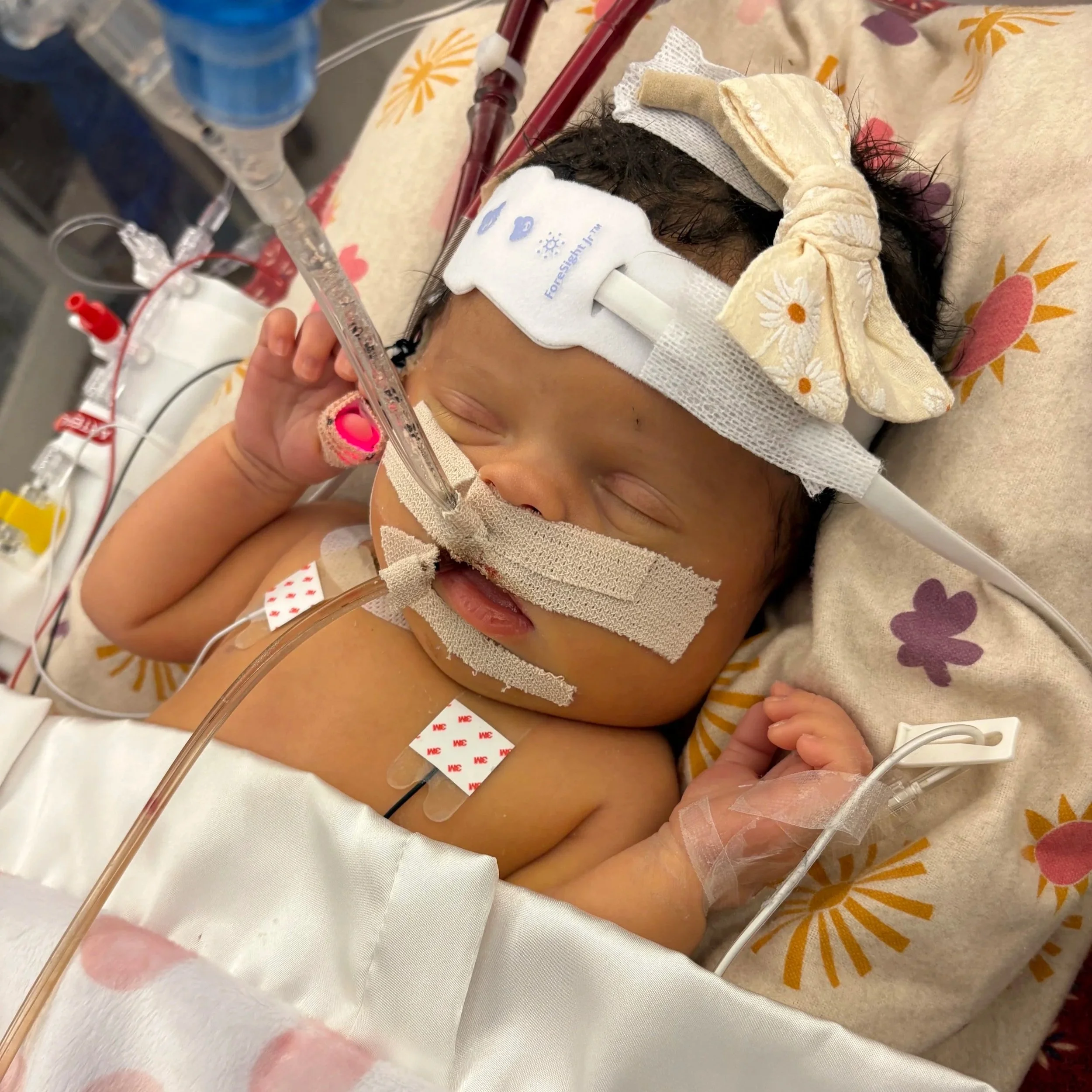 Sophia Taylor Violet Rieger