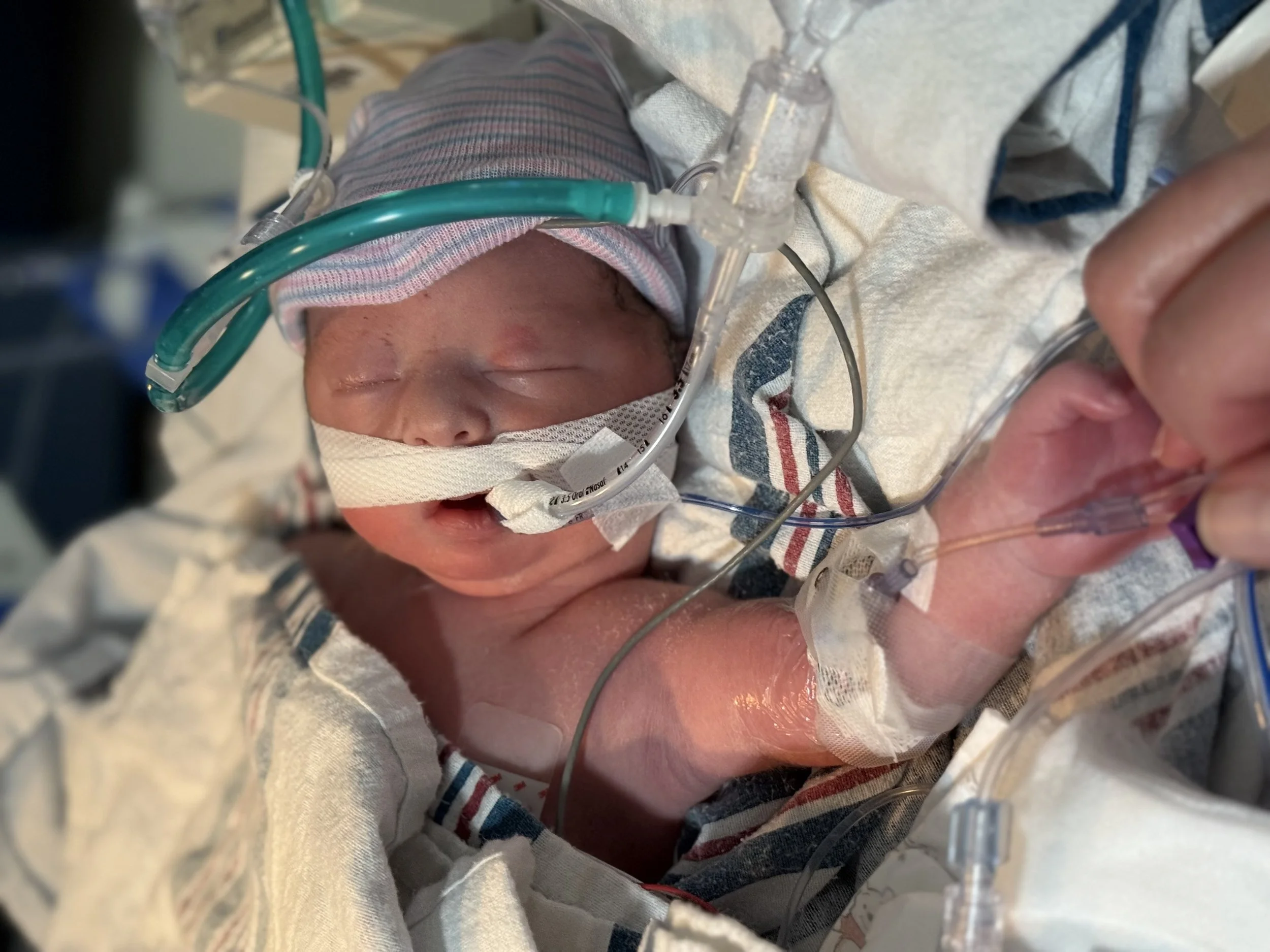 Jackson William Bailey