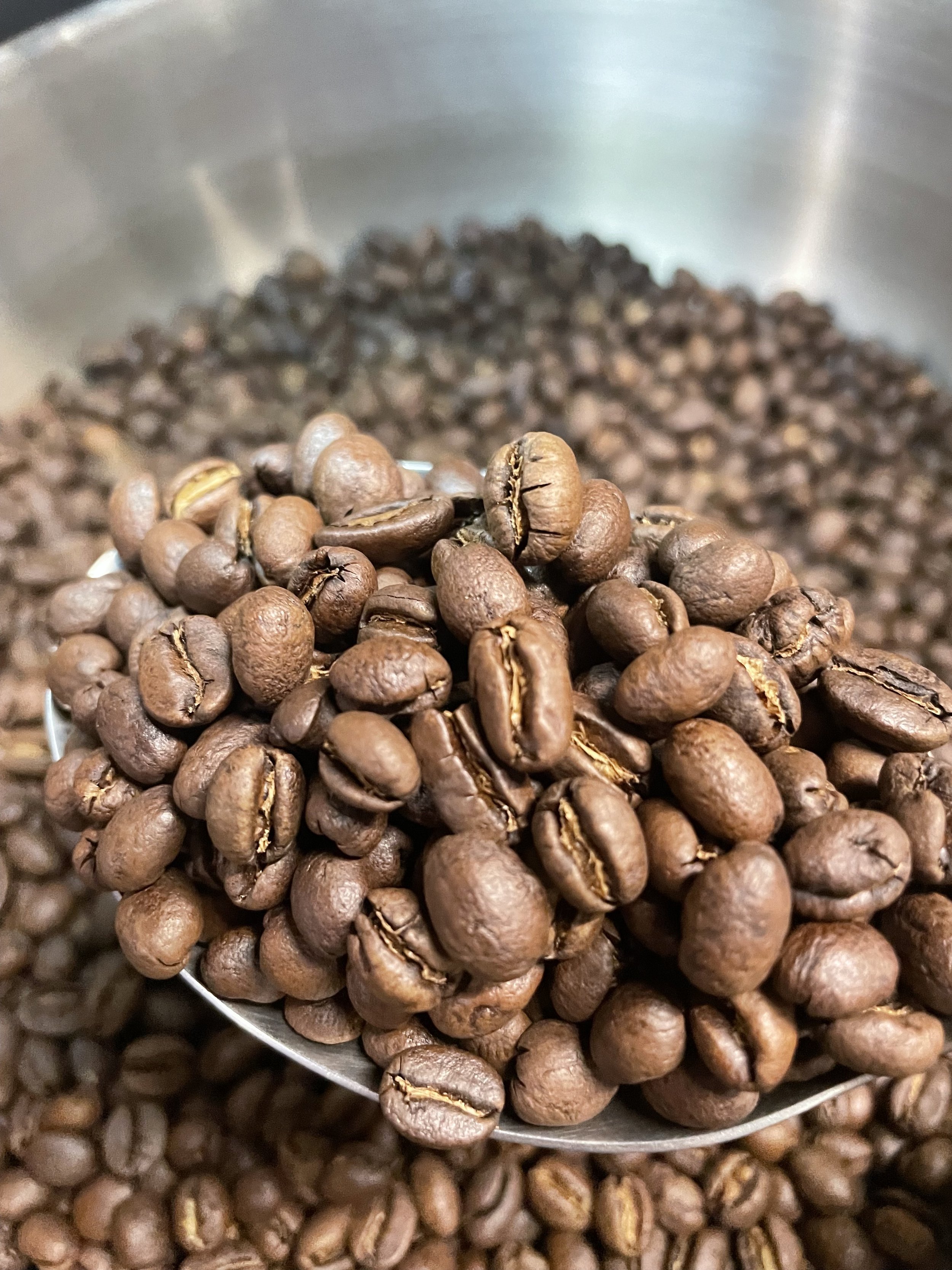 peaberry roasted.jpeg