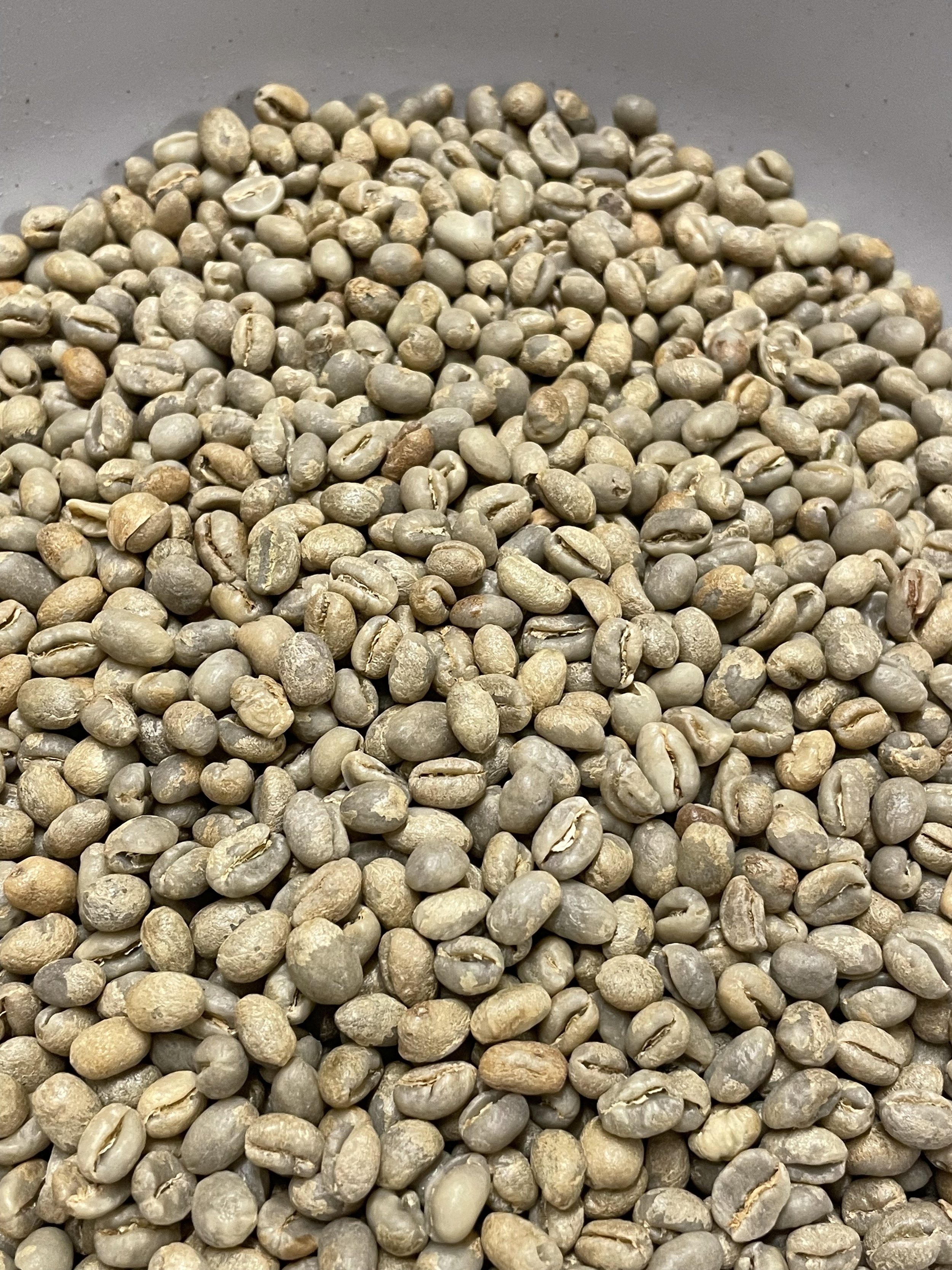 peaberry green.jpeg