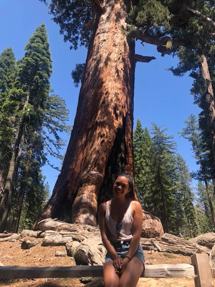 Yosemite 5.jpg