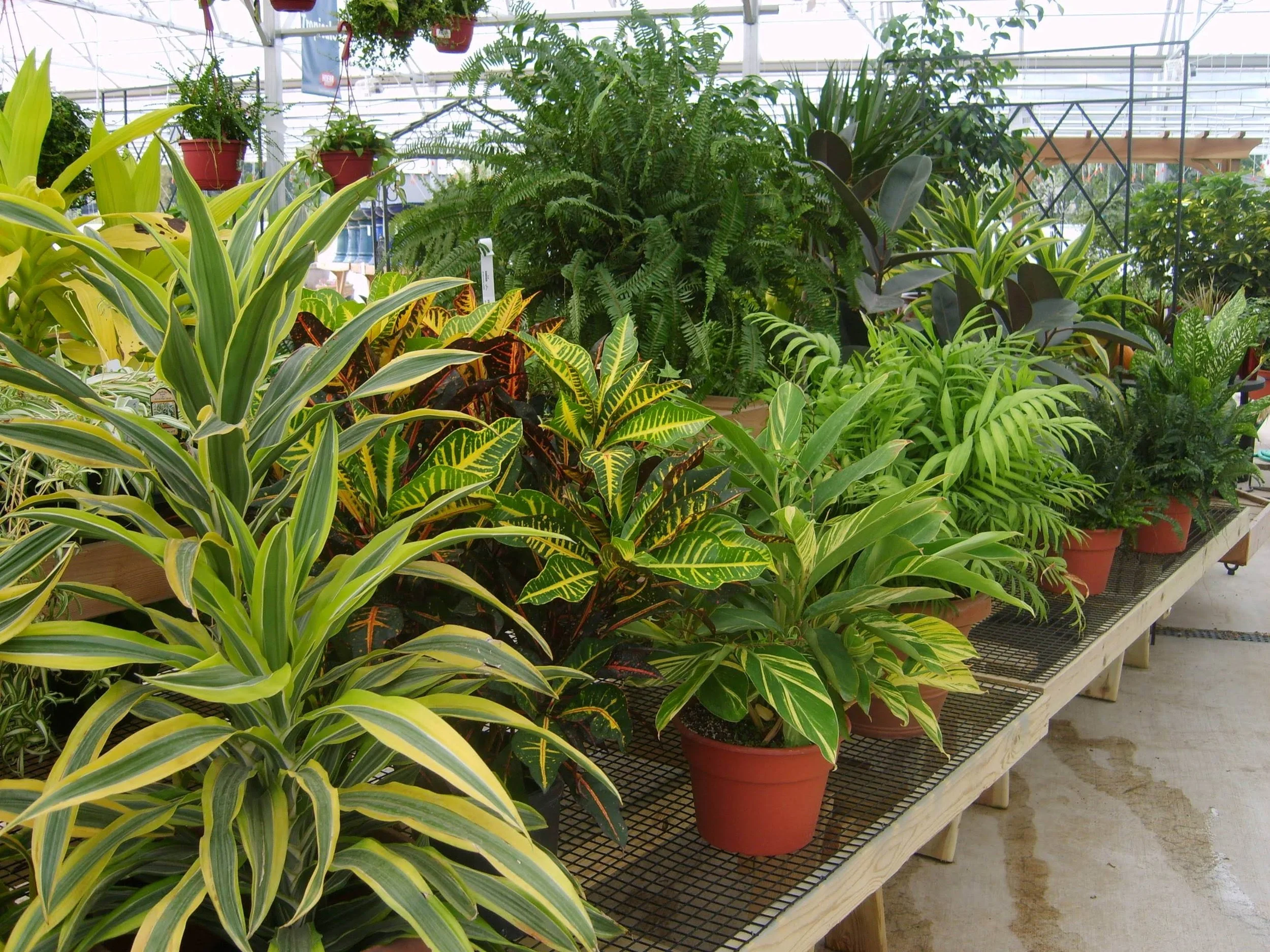 Garden Center — Hoerr Nursery