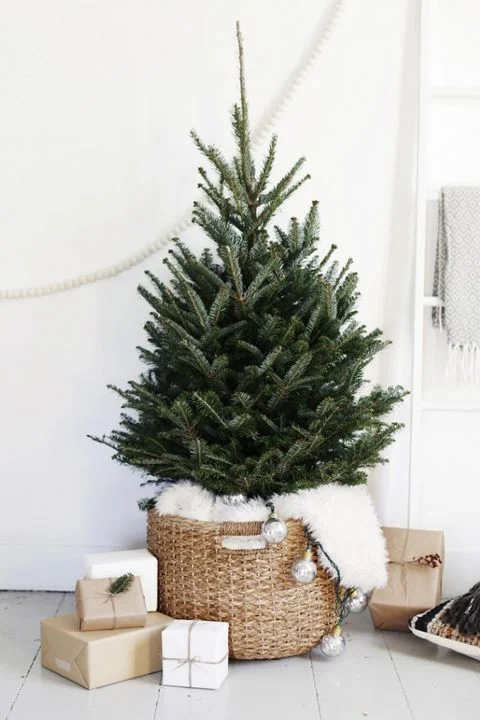 Tree Topper.jpg