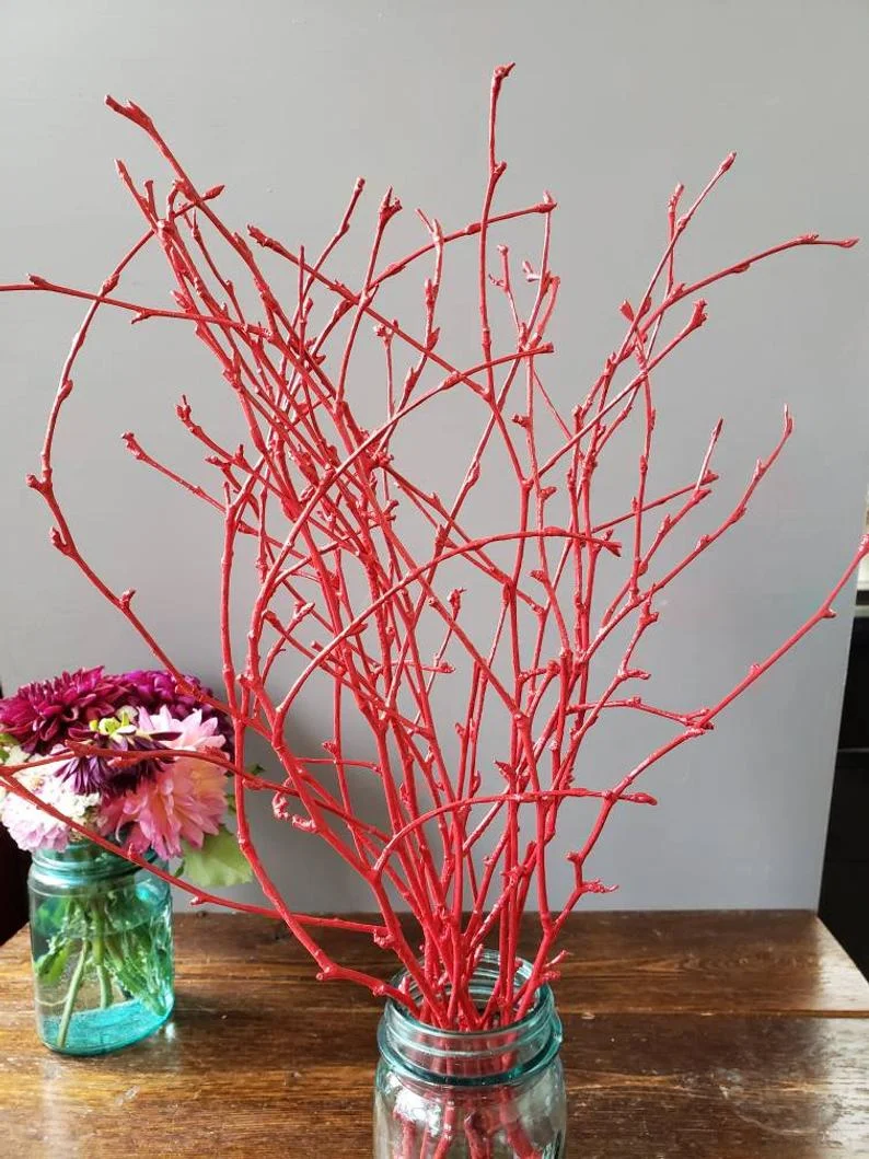 Birch Twigs Red.jpg