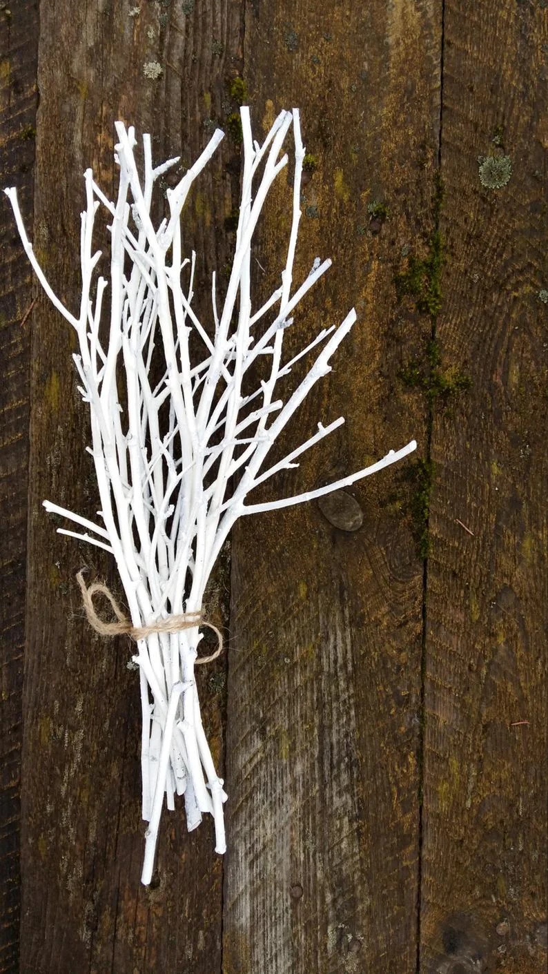 Birch Twigs White.jpg