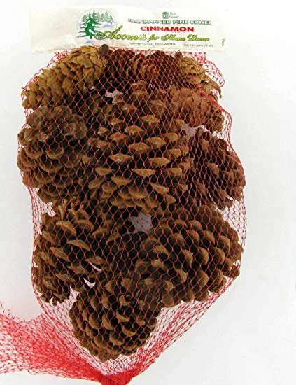 Cinnamon Scented Pinecones.jpg