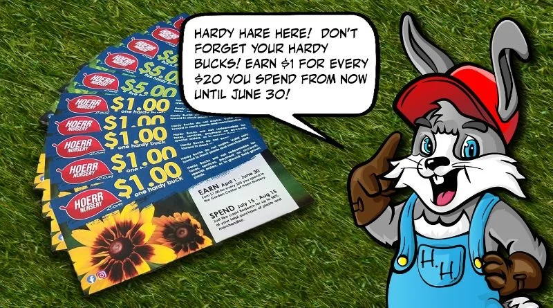 EARN HARDY BUCKS 2023