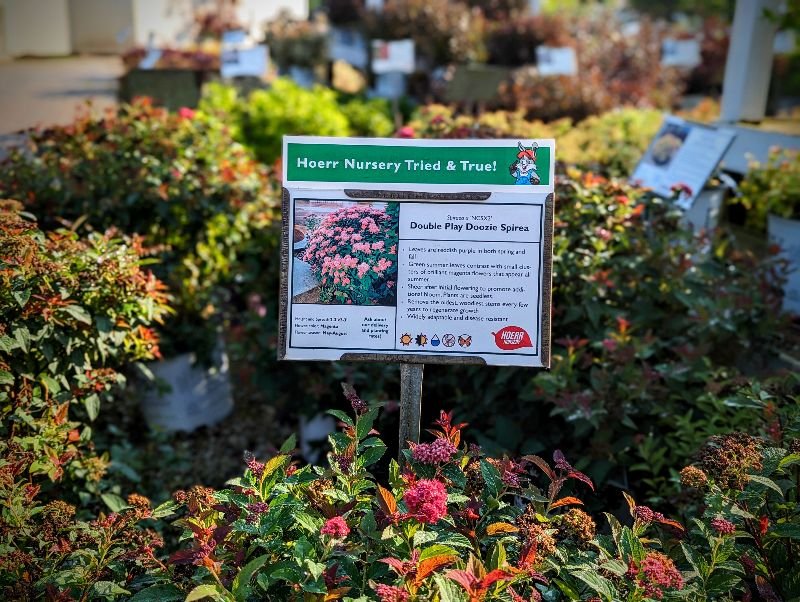 Hoerr Nursery Tried and True...Shrubs!