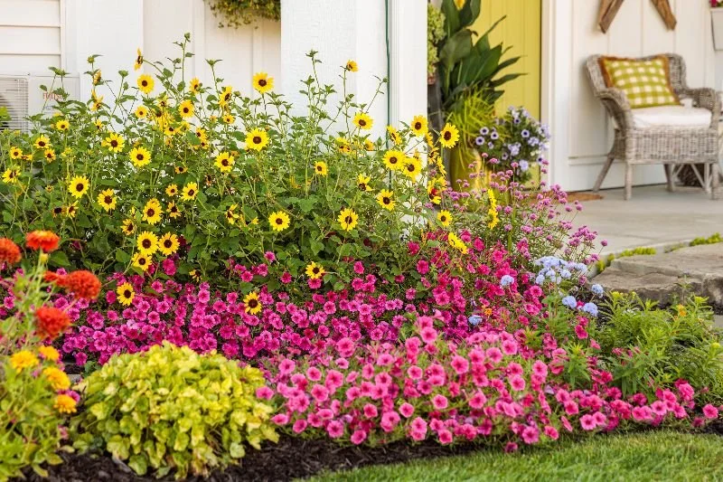 Flower Power: Revive Your Summer Garden