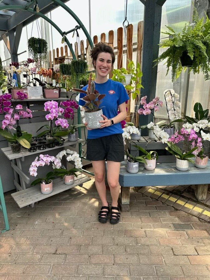Are you dreaming of a fresh look for your favorite room? When you buy any houseplant and decorative pot from us, we'll pot it for you right here on the spot. No fuss, just fresh, vibrant greenery in a stylish container. Come see us today and let&rsqu