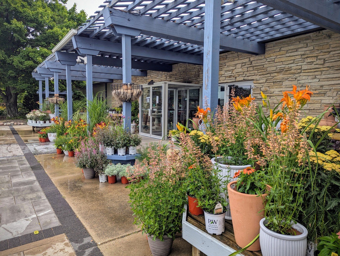 Our front porch is blooming with a seasonal celebration of daylilies, yarrow, anise hyssop, shasta daisies, and more, all ready to brighten your day and your garden! The next time you stop by, feel free to browse and shop what you see right on our po