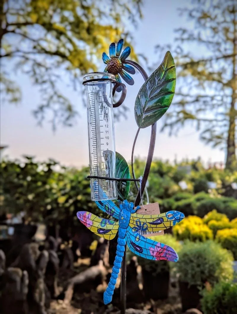 Just 1 inch can save your garden 🌿