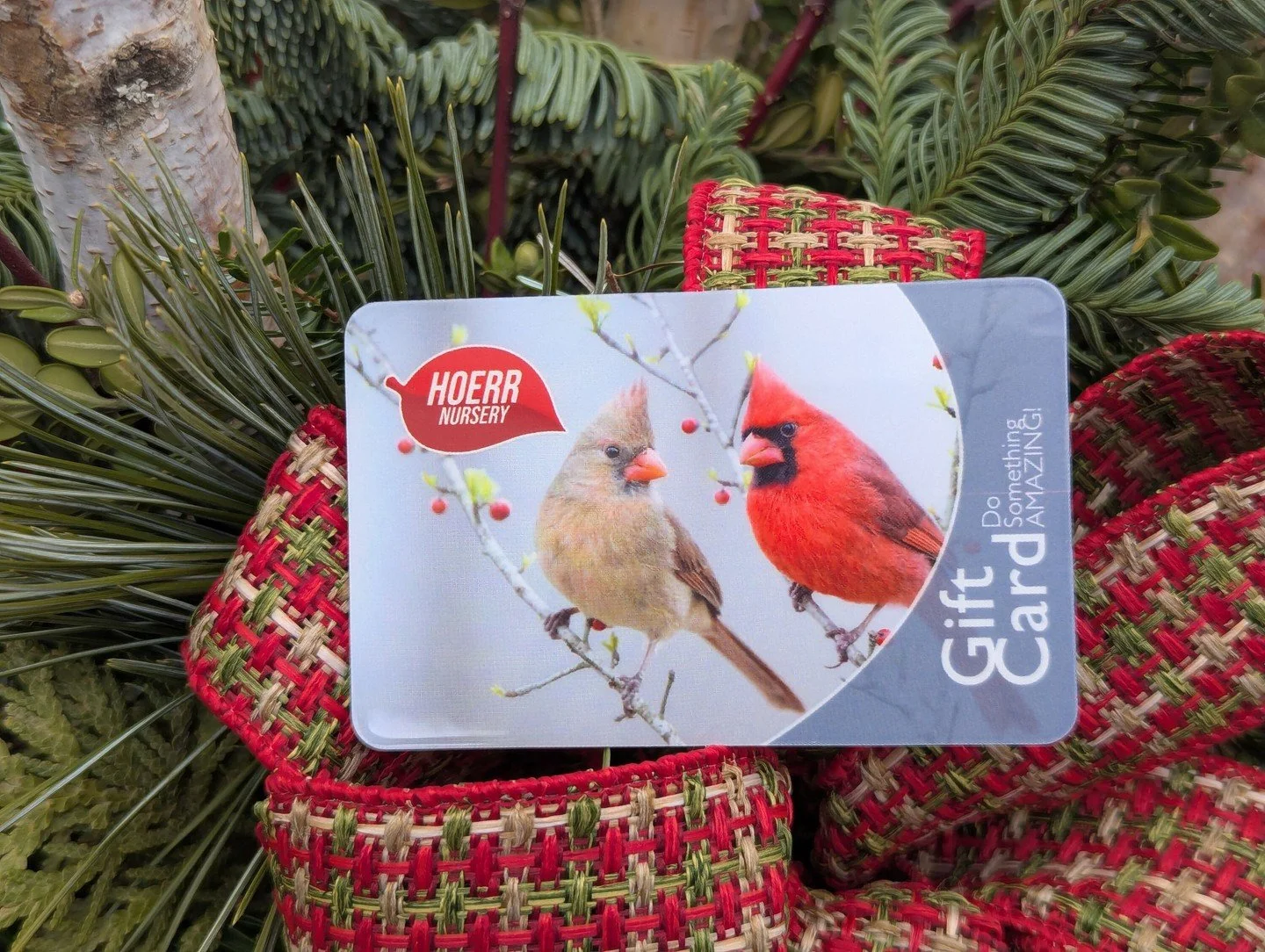 If you're not sure what to get, but you still want a gift that feels personal, a Hoerr Nursery gift card is a great way to show the gardener in your life that you care! Swing in to pick one up, or send a bit of holiday cheer directly to their door at