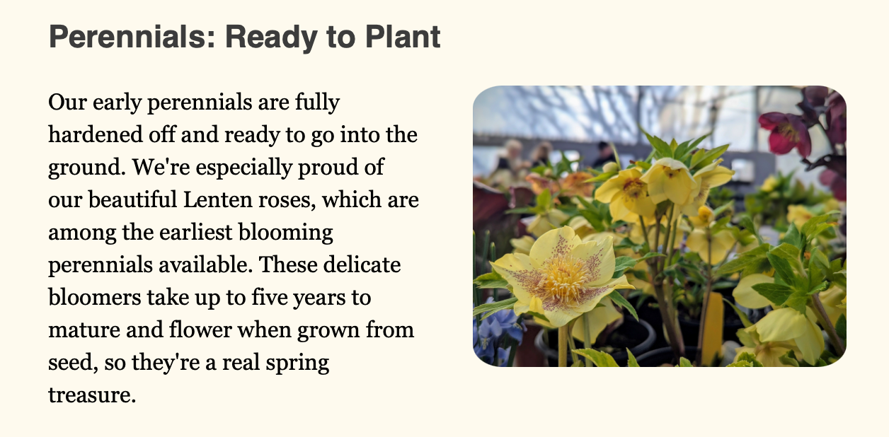 Screenshot 2026-03-05 at 1.55.14 PM.png