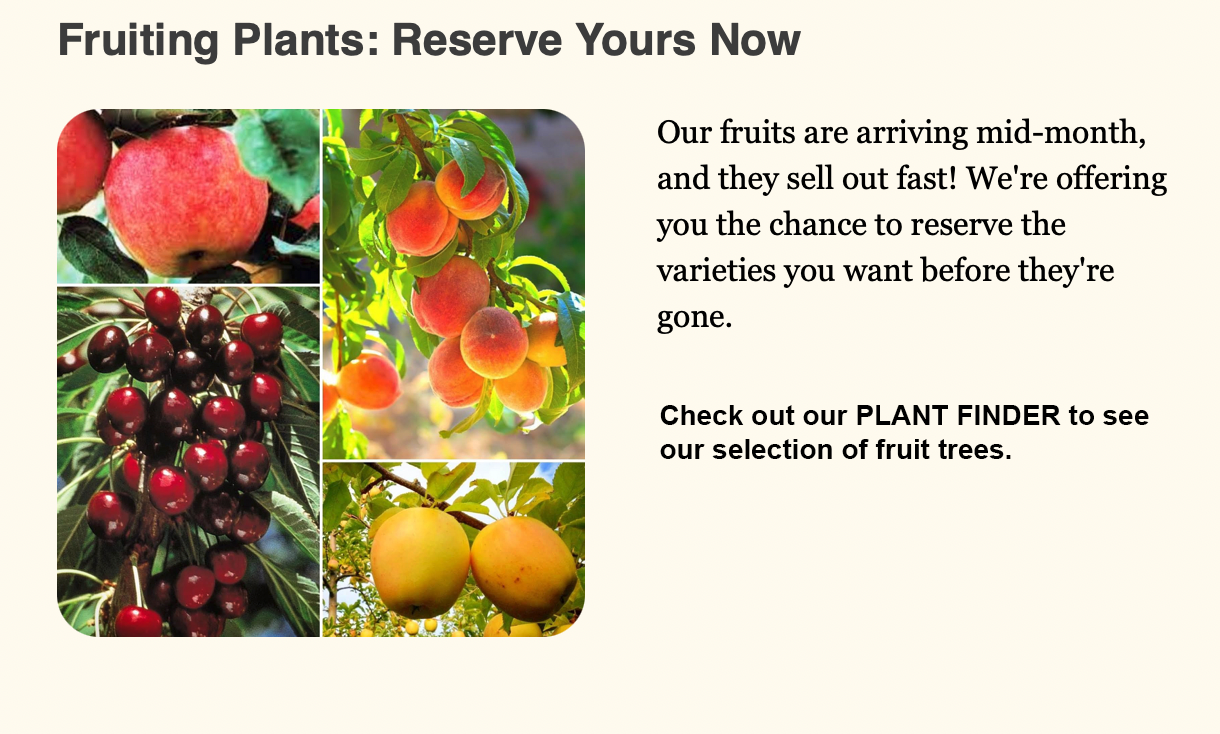 Screenshot 2026-03-05 at 2.08.38 PM.png