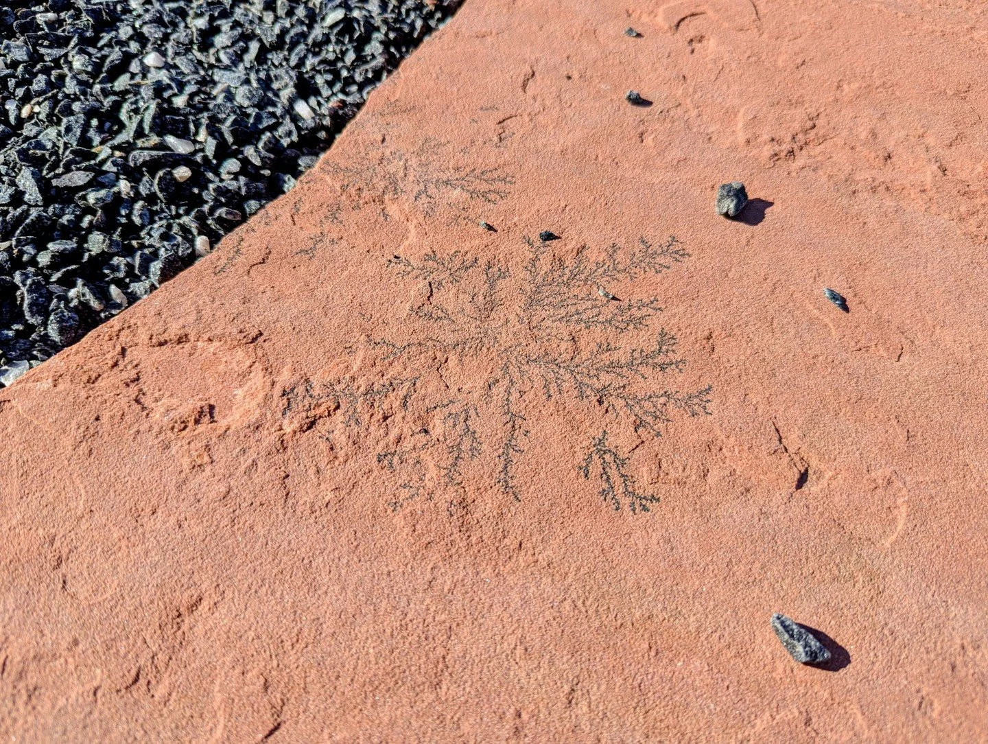 Check out these dendritic pseudofossils! (Try saying that five times fast.) They look like lacy leaves stamped into the rock, but they're actually created when mineral-rich water works its way through the stone. 

These limestone slabs and rocks are 