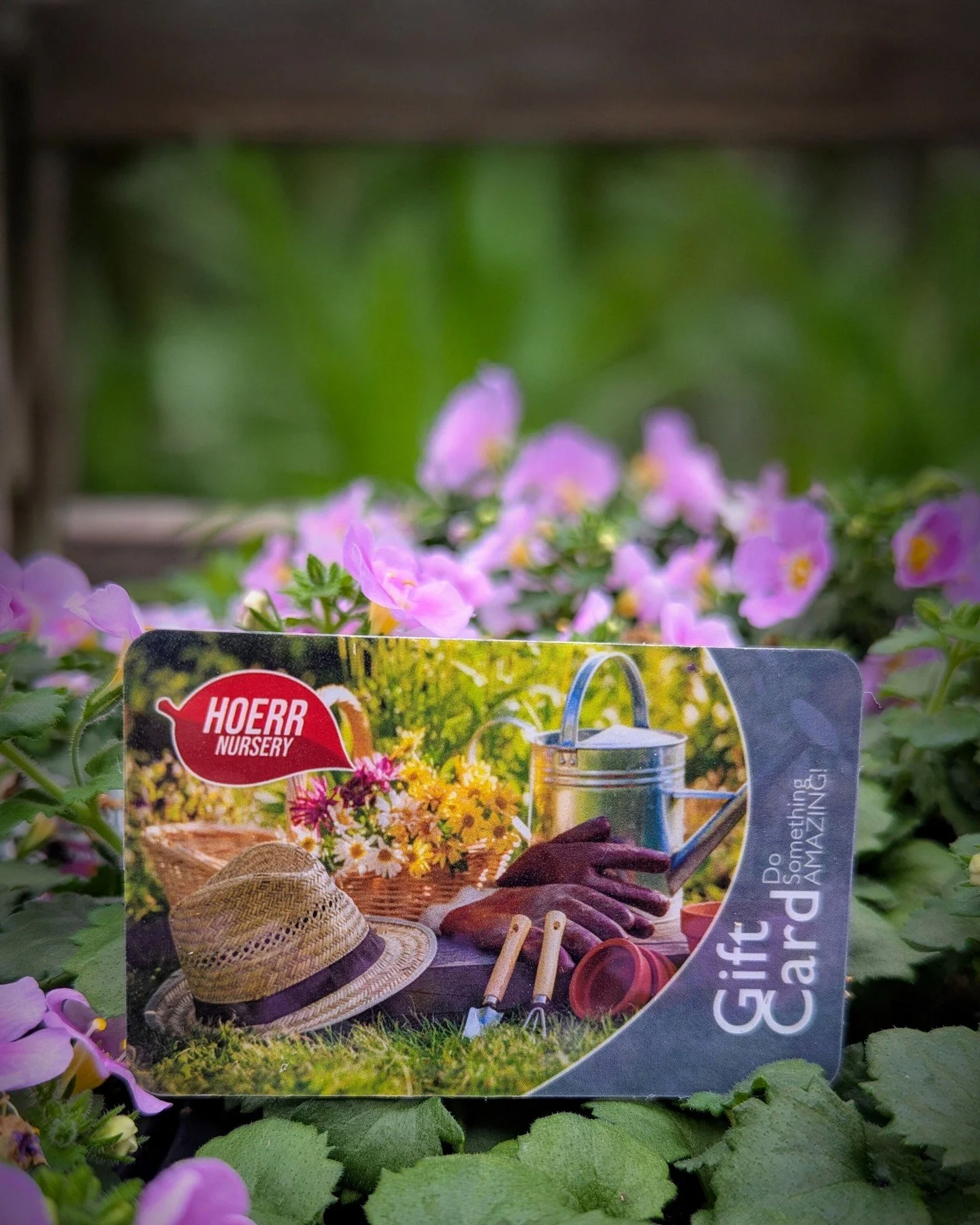 Want to send a little spring sunshine to someone you love? ☀️ Get them a Hoerr Nursery gift card! They're available anytime, online at www.hoerrnursery.com/gift-cards, or at the garden center. Choose your favorite design, pick the perfect amount, add