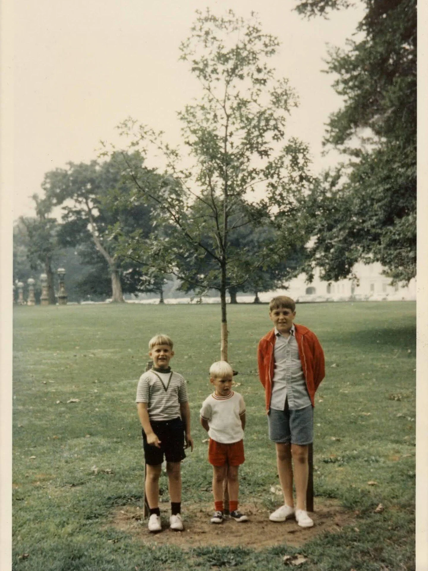 Trees have long been an integral part of what we do at Hoerr Nursery. We've been planting them, growing them, and helping them thrive right here in Central Illinois for decades.

In 1969, Hoerr Nursery planted the Senator Everett M. Dirksen Memorial 